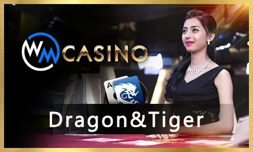 Bingoplus Pro Sports Betting